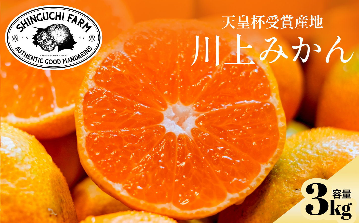 【天皇杯受賞産地】川上みかん 3kg【愛媛県八幡浜市】新口農園厳選【A70-120】【1683960】 YWTK119