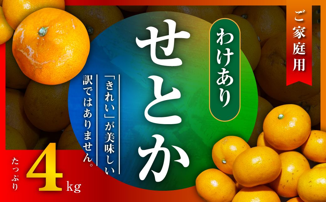 【先行受付】三代目のわけありせとか4kg【サイズ不揃い・傷】【C31-34】【配送不可地域：離島】【1488065】 YWTAC023