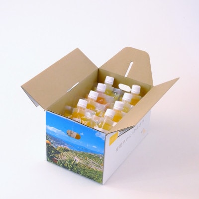 苦味の少ないさっぱり柑橘 和製グレープフルーツ 河内晩柑寒天ゼリー8本セット【D25-24】【1255531】