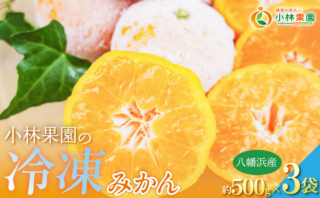 小林果園の冷凍みかん(500g×3袋)【訳あり】【C24-27】 YWTAD020