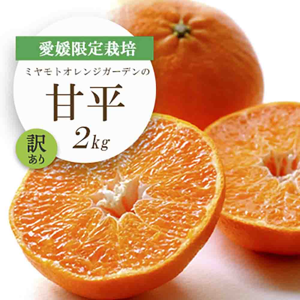 【先行受付】愛媛限定栽培柑橘 甘平(かんぺい)2kg【訳あり】【D25-184】【1608049】 YWTAP125