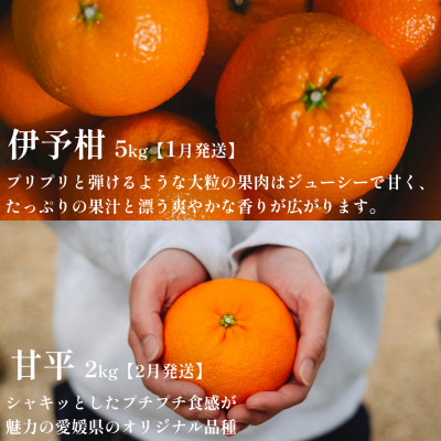 ãçºéæåºå®å®æäŸ¿ãæåªã®çŸå³ããäººæ°ææ©5åçš® çå¹³ã»ããšãã»æ²³å
æ©æçãH70-43ãå
š5åã4055162ã