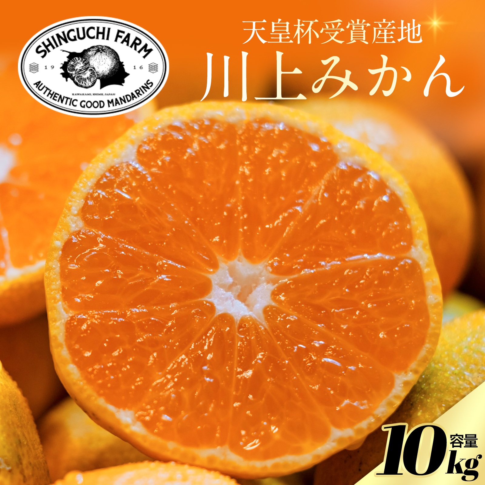 【天皇杯受賞産地】川上みかん 10kg【愛媛県八幡浜市】新口農園厳選【E70-126】【1684224】 YWTK125