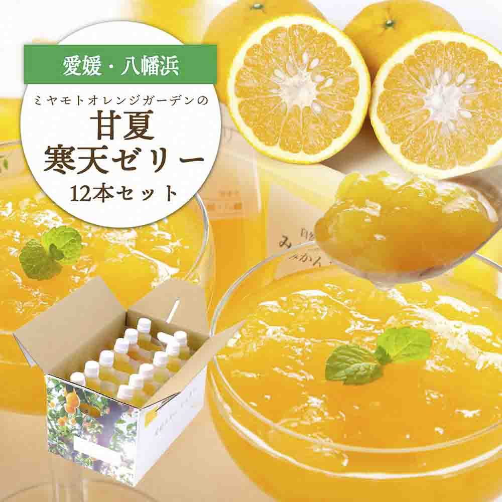 ほろ苦く甘酸っぱいさわやかな味わい 愛媛産 甘夏寒天ゼリー12本セット【D25-17】【1255524】 YWTAP010