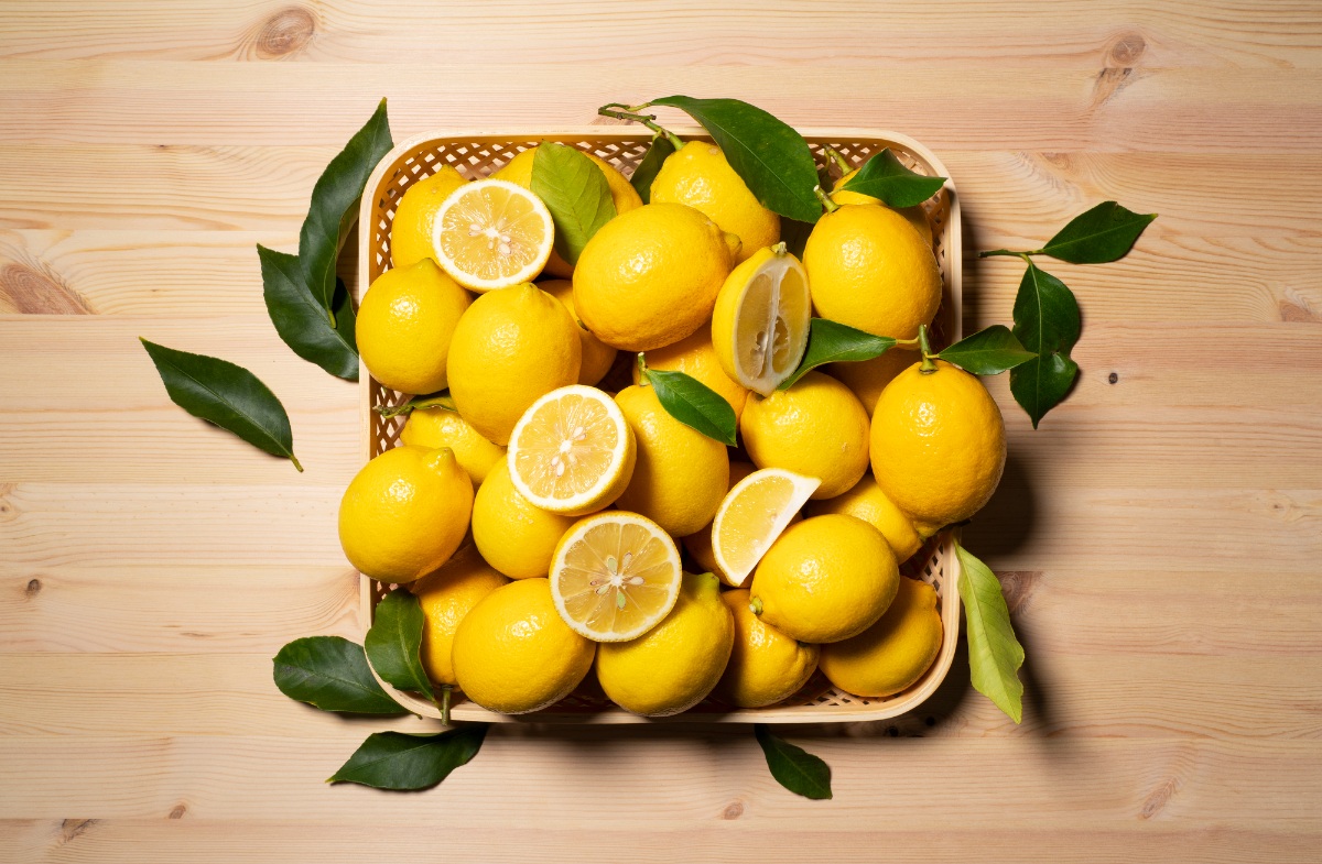 【まろやか果汁、やさしい酸味。】愛媛育ちの完熟レモン 4kg【C49-103】【1636527】 YWTZ088