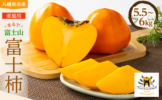 家庭用　富士柿　5.5kg〜6kg【C56-73】【配送不可地域：離島】【1621936】