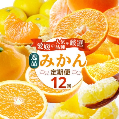 【発送月固定定期便】愛媛の人気品種を厳選!みかん定期便(秀品)【H25-166】全12回【配送不可地域：離島】【4054625】