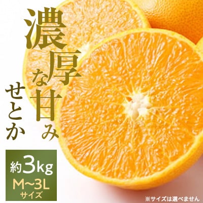 愛媛の高級柑橘の代名詞!「せとか」約3kg入(化粧箱入)【F28-8】【配送不可地域：離島】【1046131】