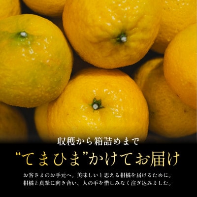 【数量限定】今シーズン発送!【訳あり】媛小春 2kg【A70-161】【1710481】