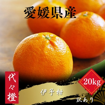 【ジューシー果肉がいい香り♪】【訳あり】伊予柑 20kg【H83-21】【1557482】