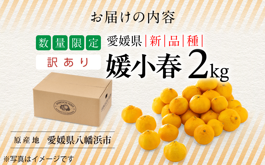 縲仙郁。悟女莉倥代占ィウ縺ゅj縲大ェ帛ー乗丼 2kg縲植70-161縲代1710481縲 YWTK160
