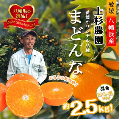 こんな柑橘はじめて!!上杉農園のぷるぷる新食感!!「まどんな」約2.5kg【D39-67】【配送不可地域：離島】【1619931】