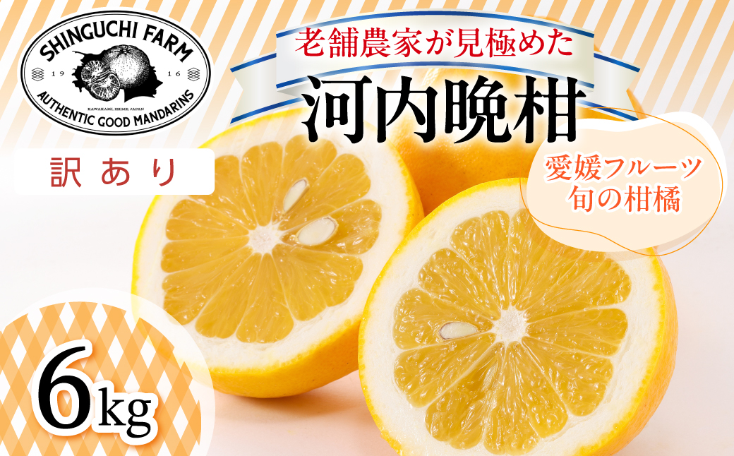 【太陽の恵みをギュッと凝縮】河内晩柑 訳あり 6kg 愛媛県産【C70-83】【1625557】 YWTK082