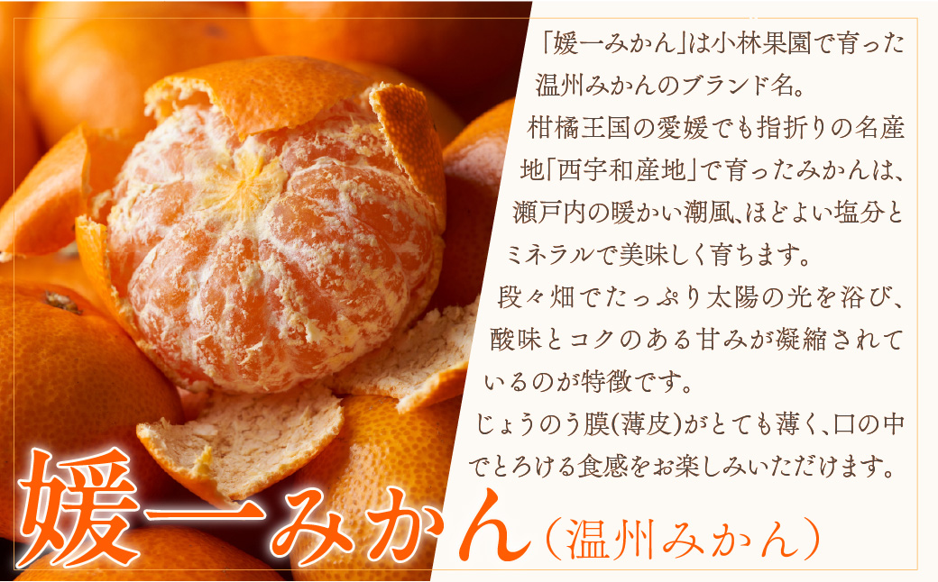 【先行受付】桐箱入り・媛一みかん(7kg)【G24-3】 YWTAD001