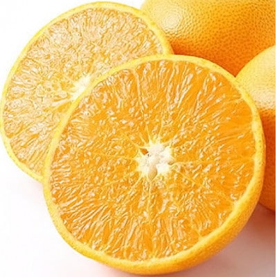 æåªã®ææ©ã®ä»£åè©!ãããšããçŽ2.5kgå
¥ãC28-40ãã1437356ã