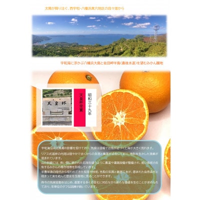 縲千悄遨エ逕」縲大キ蜃阪∩縺九s縲縺医イ繧√ョ繧「繧、繧ケ縺ソ縺九s縲10陲玖ゥー繧√燭82-3縲代宣埼∽ク榊庄蝨ー蝓滂シ夐屬蟲カ縲代1626299縲