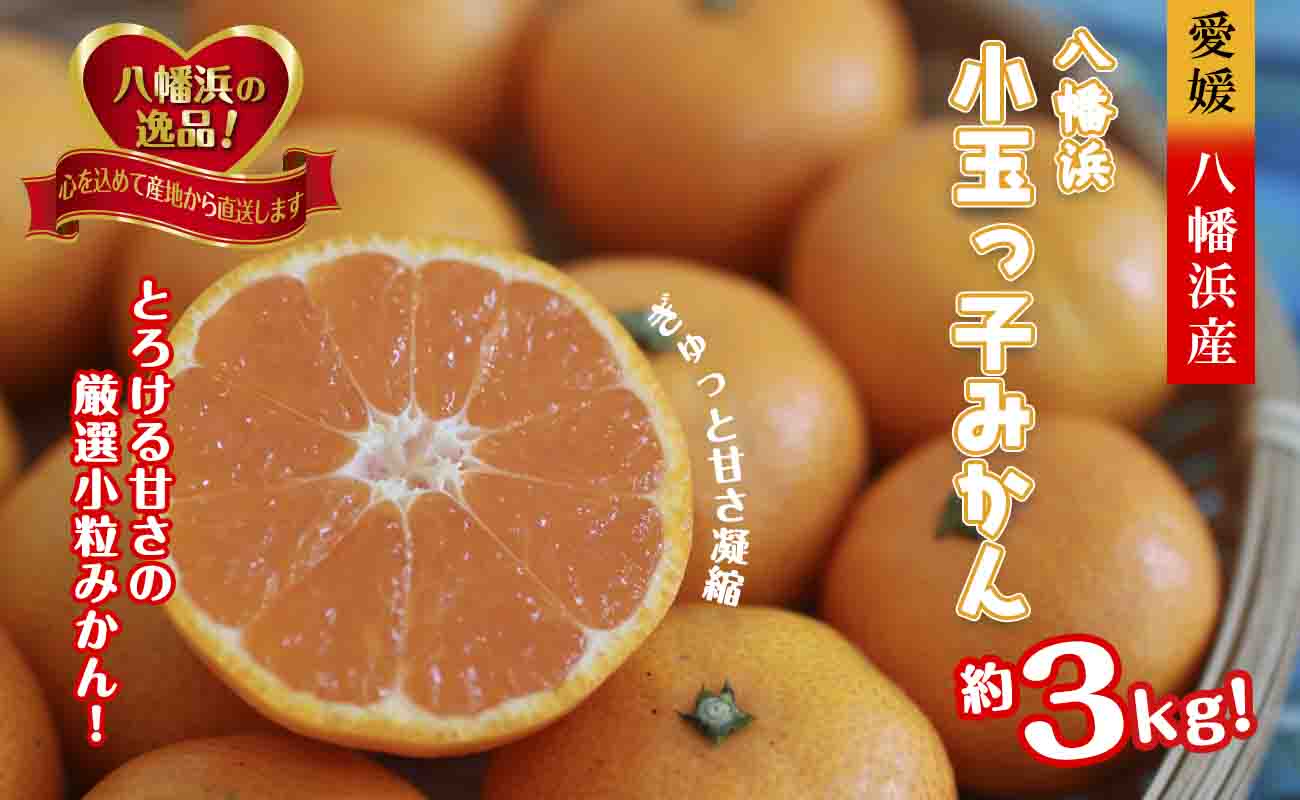 2026蟷エ11譛医憺谺。蜃コ闕キ縲蟆冗イ偵サ豼蜴壹↑蜻ウ繧上>!!縲悟ォ蟷。豬懷ー冗脂縺」蟄舌∩縺九s縲咲エ3kg縲植39-80縲代宣埼∽ク榊庄蝨ー蝓滂シ夐屬蟲カ縲代1639302縲 YWTF055
