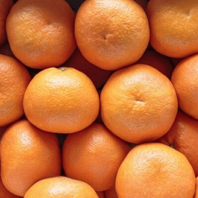 【爽やか香りと柔らかジューシーな果肉】愛媛八幡浜産 宮内伊予柑 20kg【H20-95】【1625452】