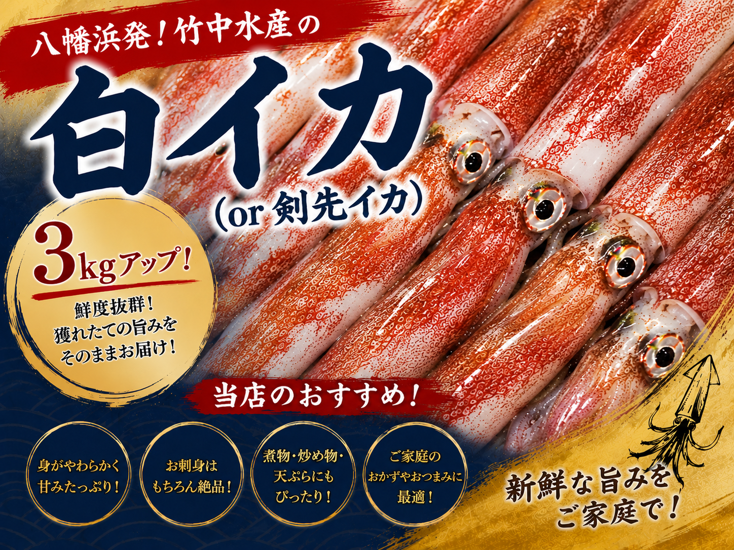 【冷凍便】八幡浜発!「白イカ(剣先イカ)」3.0kg!【H22-209】【配送不可地域：離島】【1047026】 YWTM027