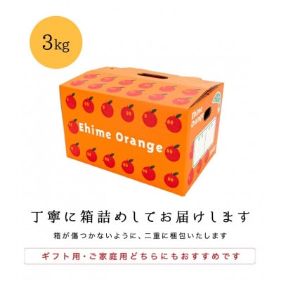 ãç³åºŠ11åºŠä»¥äž é
ž1.0ä»¥äž ç³é
žéžå¥åãæåªã¿ãã 3kgãC20-48ãã1594922ã