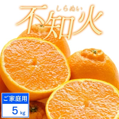 【ご家庭用】不知火 5kg みかん 愛媛県 八幡浜市 西宇和地区【C25-388】【1718388】