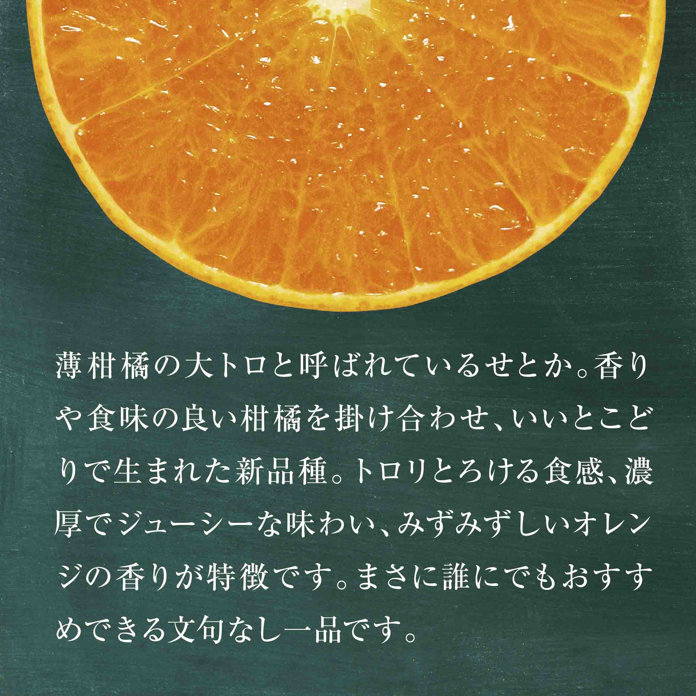 【三つ星ブランド】星乃せとか(3kg)【D45-93】【1625776】 YWTAZ055