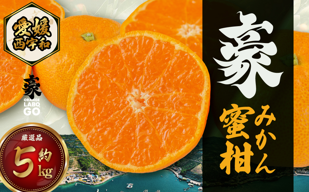 【先行受付】豪 蜜柑　5kg(S～Lサイズ)【C88-1】【1660442】 YWTE001