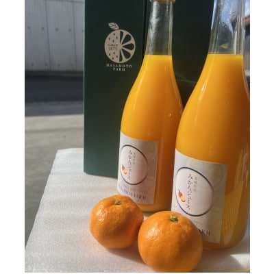 【正本農園】温州みかんジュース 720ml×2本【C96-7】【1712335】