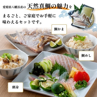 愛媛八幡浜産　天然真鯛を食べつくす 鯛めしセット【C26-2】【配送不可地域：離島】【1133994】