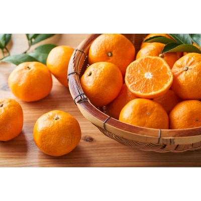 柑橘の鬼たちがつくる八幡浜産・温州みかん8kg[家庭用]【C56-17】【配送不可地域：離島】【1252943】