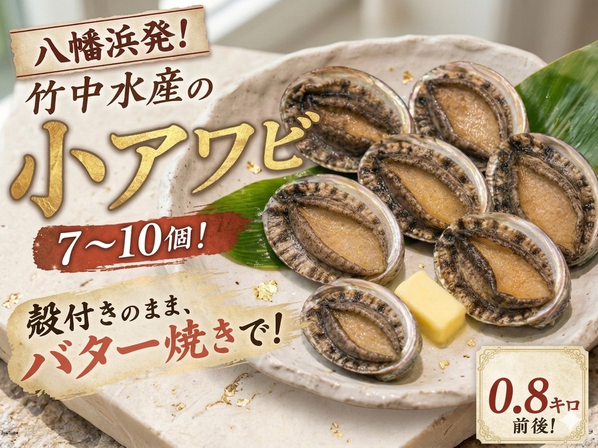 竹中水産の天然小アワビ、殻付きのままでバター焼き800g前後(7〜10個目安)【G22-247】【配送不可地域：離島・北海道・沖縄県】【1073904】 YWTM065