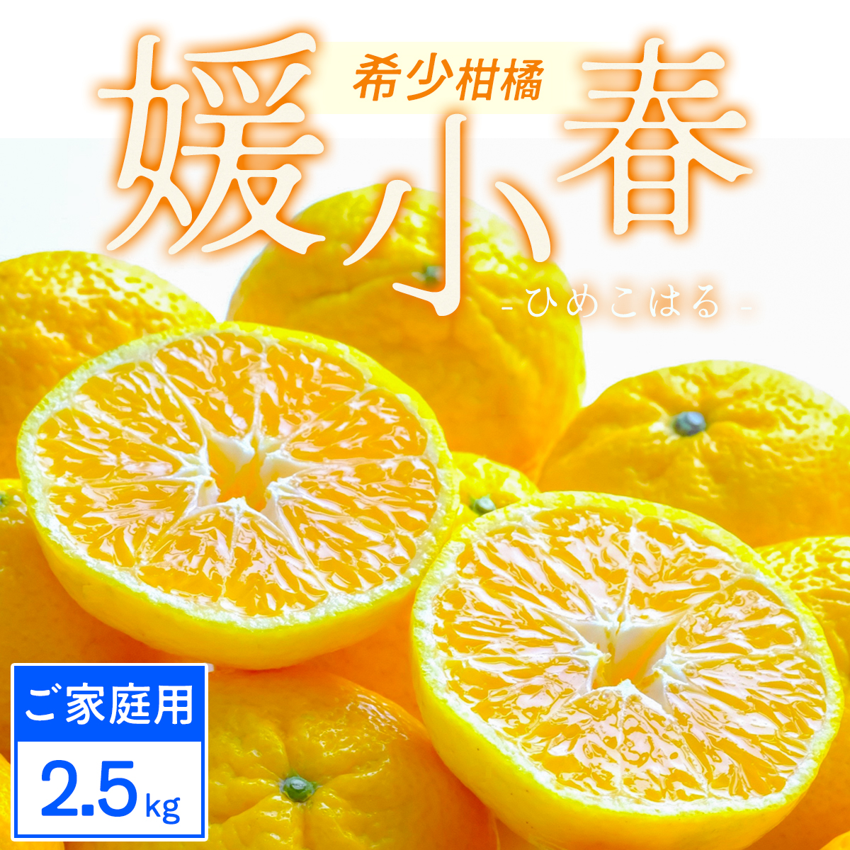 【ご家庭用】媛小春 2.5kg 愛媛県 八幡浜市 西宇和地区 希少な幻の柑橘【C25-323】【1714072】 YWTAP264