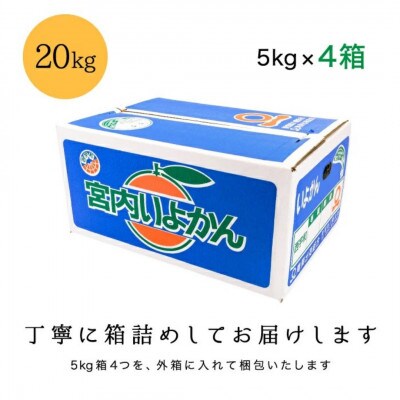 【爽やか香りと柔らかジューシーな果肉】愛媛八幡浜産 宮内伊予柑 20kg【H20-95】【1625452】