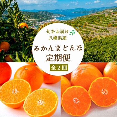 【発送月固定定期便】愛媛みかん5kg×まどんな2.5kg 【G25-253】全2回【4071214】