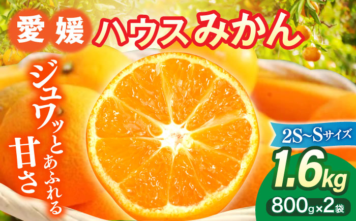 【先行予約】【7月中旬より順次発送】口いっぱいに広がる甘さ！大洲産ハウスみかん（2S〜Sサイズ）800g×2袋　愛媛県大洲市/沢井青果有限会社 [AGBN020]みかん オレンジ フルーツ ミカン 果物 スムージー デザート おやつ ヨーグルト 調味料 ドレッシング 料理