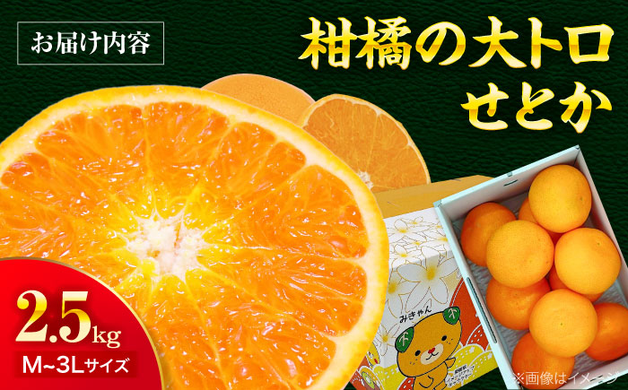 愛媛県産　せとか　2.5kg 愛媛県大洲市/株式会社フジ・アグリフーズ　柑橘 みかん せとか 果物 フルーツ [AGBA019]