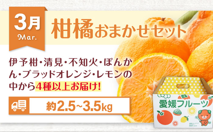 【全6回定期便】【先行予約】フルーツ定期便 2026年1～8月発送 愛媛県大洲市/沢井青果有限会社 [AGBN052]