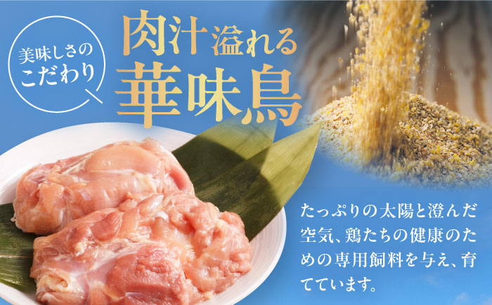 【全12回定期便】博多華味鳥　カレーセット3食入り 愛媛県大洲市/トリゼンフーズ株式会社 カレーレトルト カレー インスタントカレー はなみどり [AGDT020]