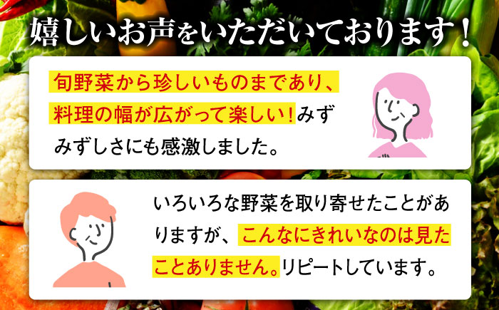 【全3回定期便】【2ヶ月に1回】栽培期間中農薬不使用！大満足 旬のお野菜セット 愛媛県大洲市/有限会社ヒロファミリーフーズ [AGBX042]