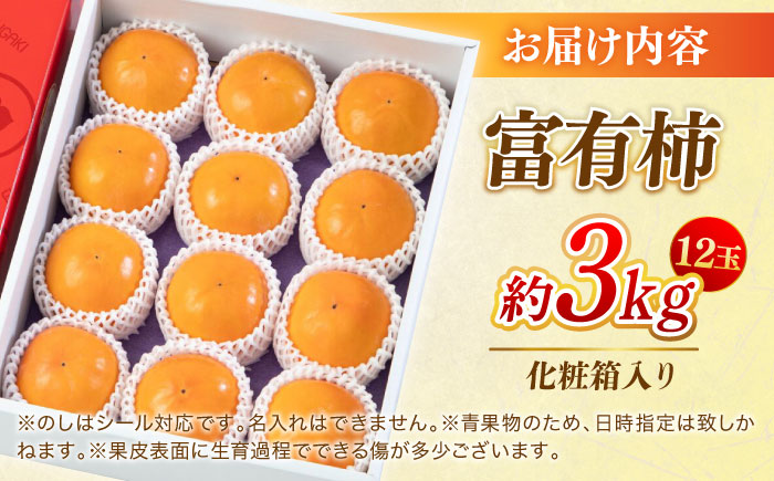 【先行予約】【11月上旬から順次発送】【期間・数量限定】愛媛県産 富有（ふゆう）柿 2Lサイズ 約3kg化粧箱入（12玉入り） かき カキ 柿 果物 フルーツ 愛媛県大洲市/愛媛たいき農業協同組合[AGAO011]