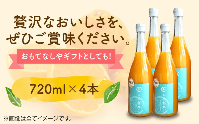 果実そのままの味わい！不知火100％ジュース 720ml×4本　愛媛県大洲市/玉川農園 [AGBC001]みかん オレンジ フルーツ ミカン 果物 かき氷 みかんジュース 愛媛みかん こたつ みきゃん スムージー デザート おやつ ヨーグルト 調味料 ドレッシング 隠し味 料理