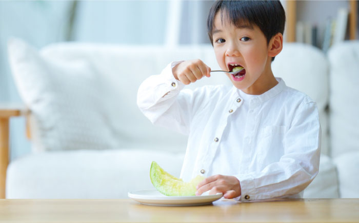 【先行予約】【2026年6月中旬から順次発送】　タカミメロン 2から3玉　愛媛県大洲市/西山青果　 [AGAR022]