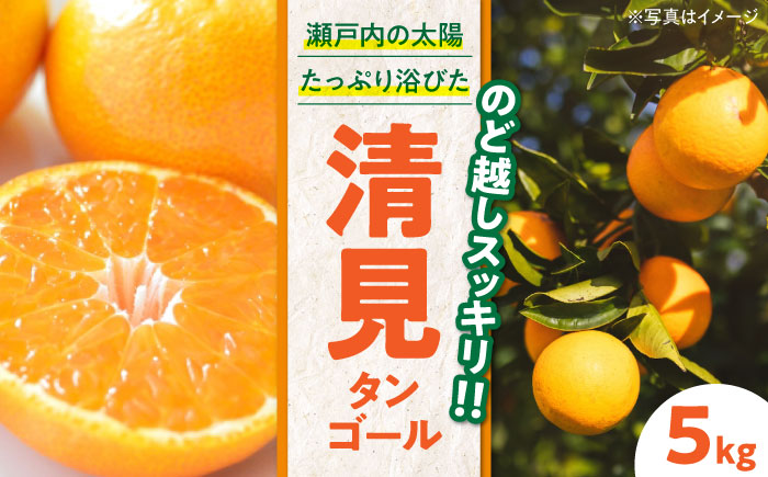 【先行予約】【2025年3月下旬から順次発送】食べ応え抜群！こどもから大人まで楽しめる！清見タンゴール 5kg　愛媛県大洲市/永沼農園 [AGAW005]みかん オレンジ フルーツ ミカン 果物 愛媛みかん みきゃん スムージー デザート おやつ ヨーグルト 調味料 ドレッシング 隠し味 料理