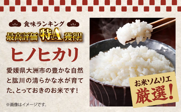 令和6年産新米 お米 ヒノヒカリ 15kg（5kg×3袋）米・食味鑑定士×お米ソムリエ×白米ソムリエ お米 新米 おこめ 白米 ごはん 愛媛県産お米 大洲市/稲工房案山子 [AGAV012]