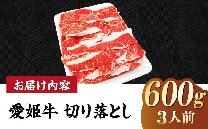 【冷凍】切り落としだから使いやすい！国産ブランド牛！愛姫牛切り落とし 600g （3人前）牛肉 ステーキ 国産 お肉 焼肉 切り落とし 送料無料 お取り寄せ 愛媛県大洲市/有限会社 木村屋精肉店 [AGCC029]