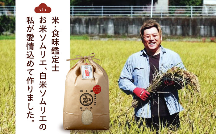 【米食味鑑定士×お米ソムリエ】知識・技術・愛情で育てた あきたこまち5kg　愛媛県大洲市/稲工房案山子 お米 5kg あきたこまち 白米 5kg お米 [AGAV015]