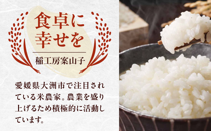 【全3回定期便】お米 ヒノヒカリ 3kg（3kg×1袋）米・食味鑑定士×お米ソムリエ×白米ソムリエ お米 おこめ 白米 ごはん 愛媛県産お米 大洲市/稲工房案山子 [AGAV026]