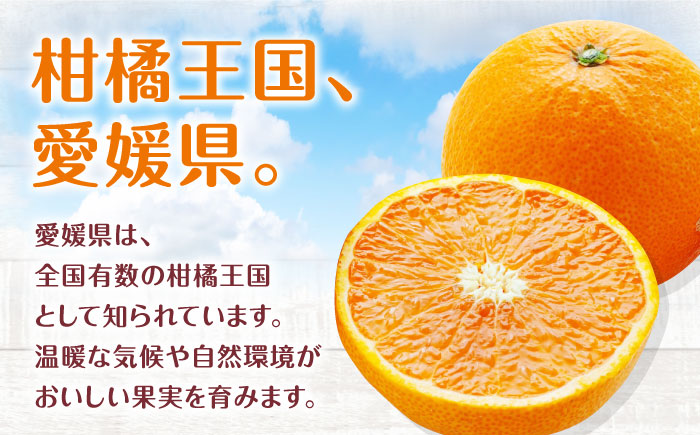 【先行予約】【3月頃発送】柑橘おまかせセット 愛媛県大洲市/沢井青果有限会社 [AGBN053]