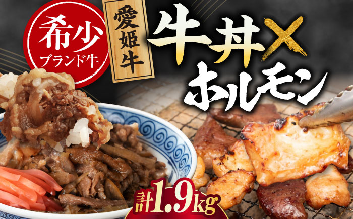 【冷凍】 愛姫牛 肉屋のこだわりお惣菜セット 牛丼×6食とミックスホルモン×1,000g 計1,9kg 愛媛県大洲市/有限会社 木村屋精肉店 [AGCC073]牛肉 和牛 牛 国産 国産和牛 愛媛県産 大洲市産 人気 おすすめ ランキング 簡単 おいしい お肉 肉 国産肉 焼肉 送料無料 お取り寄せ グルメ ホルモン 冷凍 焼き肉 BBQ バーベキュー ホルモン焼きそば ホルモン炒め グルメ 牛丼 冷凍 簡単調理 牛皿 牛めし