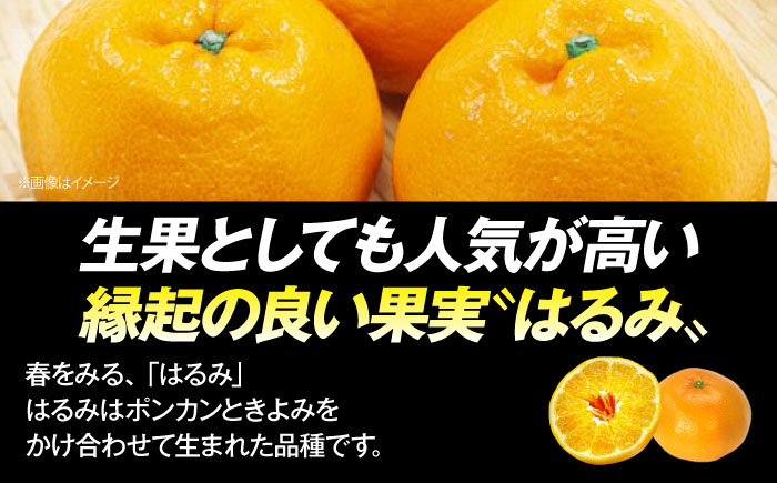 【先行予約】【2025年4月上旬から順次発送】はるみジュース　2本　愛媛県大洲市/ORANGE LINE 果物 みかんジュース デザート 果汁100％ ストレートジュース オレンジジュース [AGCT001]